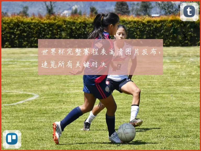 世界杯完整赛程表高清图片发布,速览所有关键对决